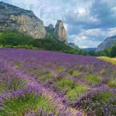1 * Aouste-sur-Sye